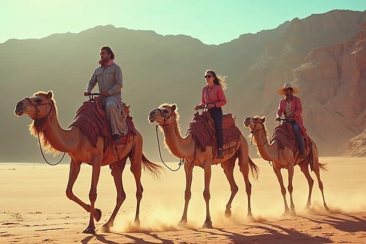 Sharm El-Sheikh: Camel Riding, Stargazing, BBQ Dinner & Show