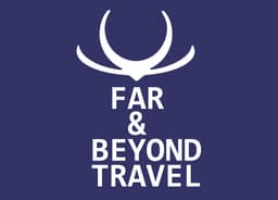 Far and Beyond Travel