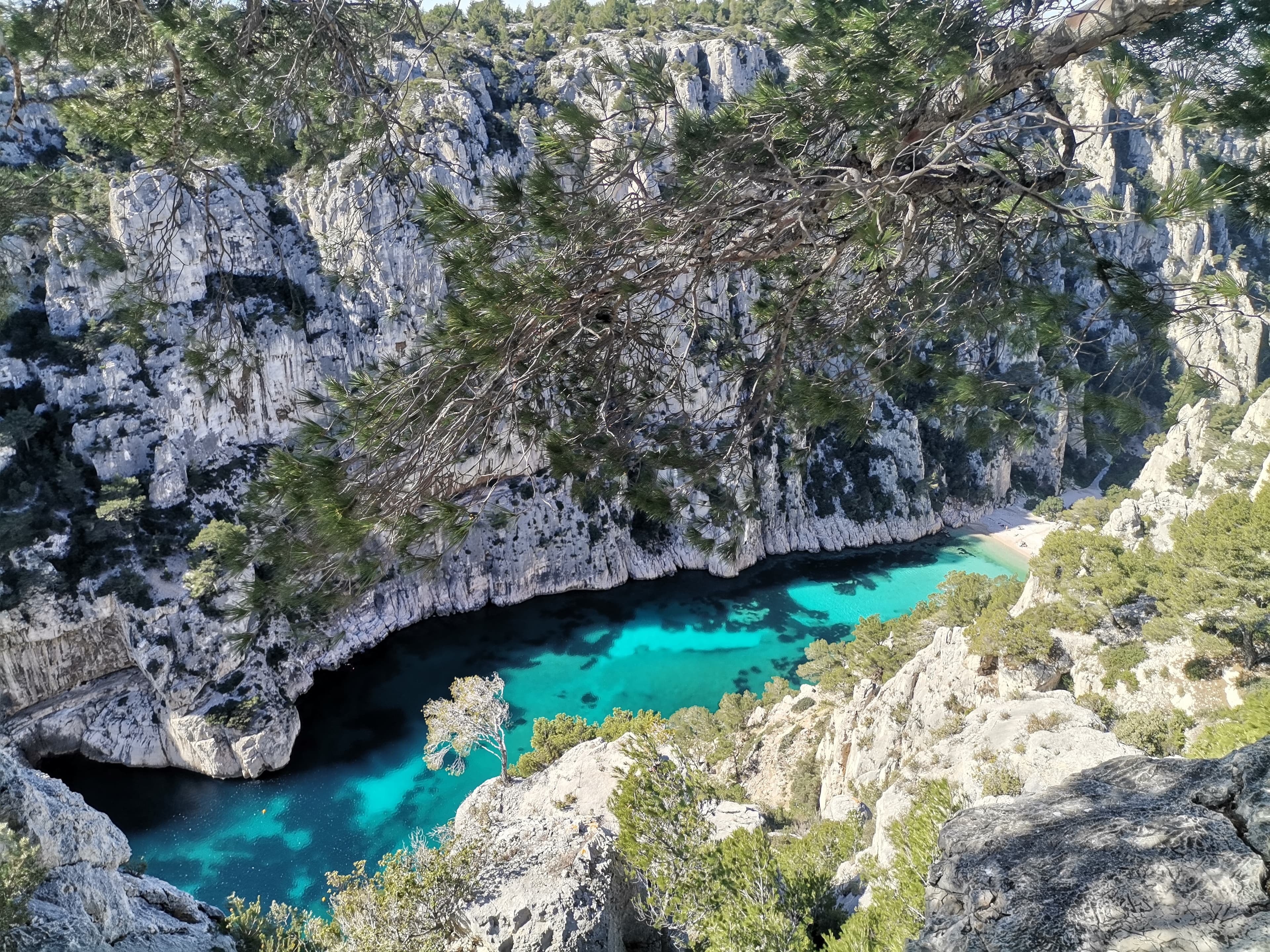En-Vau, Port-Miou and Port-Pin Calanques national park Hiking Tour 