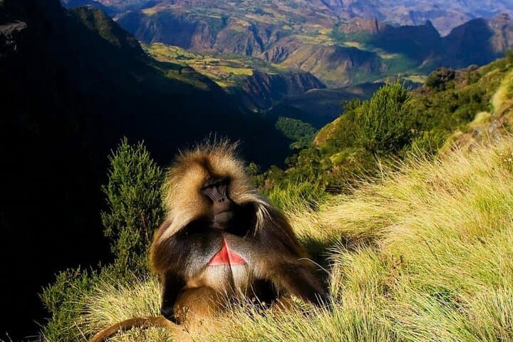  "15-Day Northern Ethiopia: A Journey Through Time"