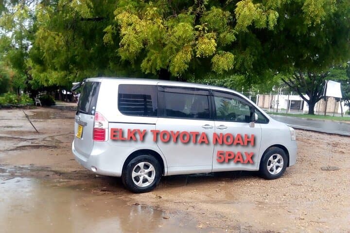 Elkydianibeachtaxis 