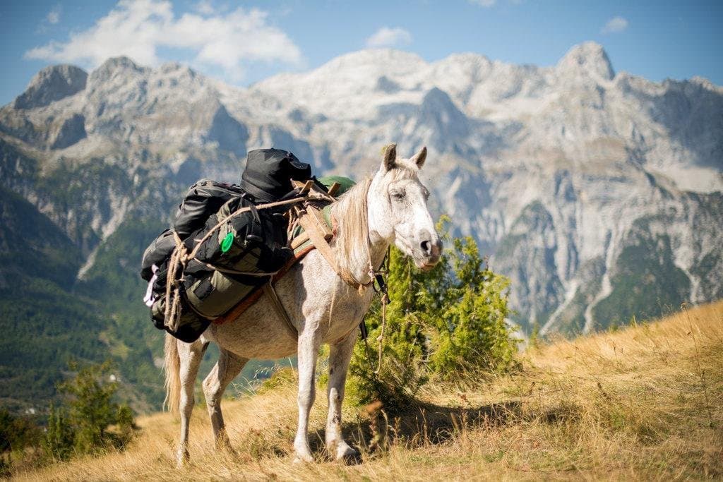 Accursed mountains Trek around the Albanian Alps. 