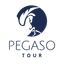 Pegaso Tour S.R.L.
