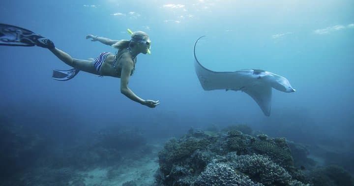 From Bali: Hunting Manta Rays in Nusa Penida and lembongan island