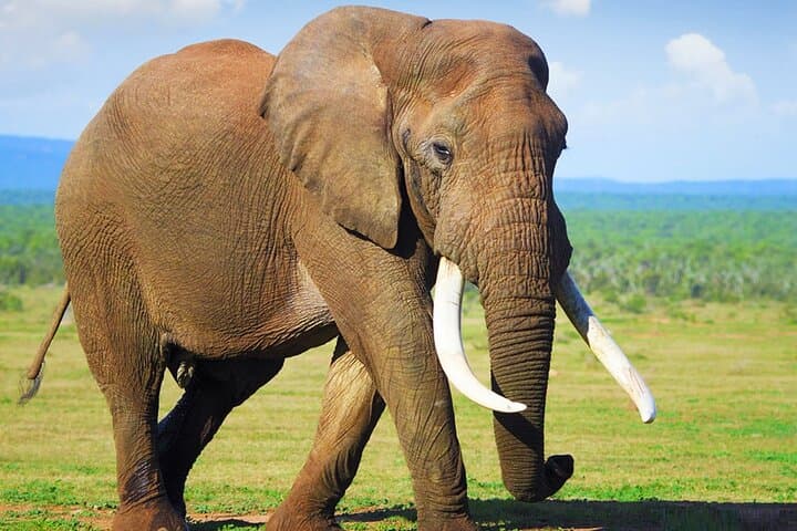 5 days Garden Route Glory with breakfast and hotel included