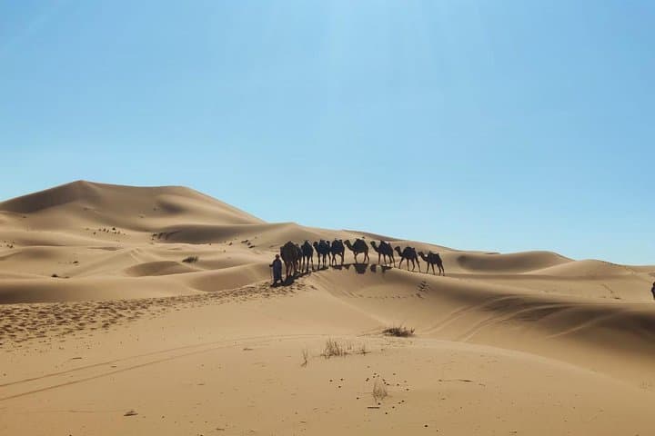 3 Days Tour From Marrakech To Fez Via Merzouga Desert, Camel Ride