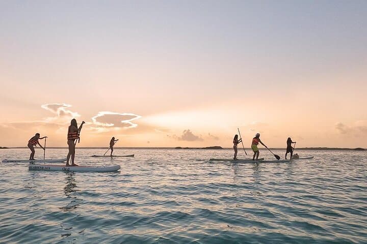 Sunrise in Paddle with Floating Picnic at Bird Island Sanctuary