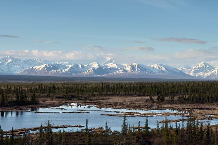 Authentical Denali Tour from Denali Park and Fairbanks