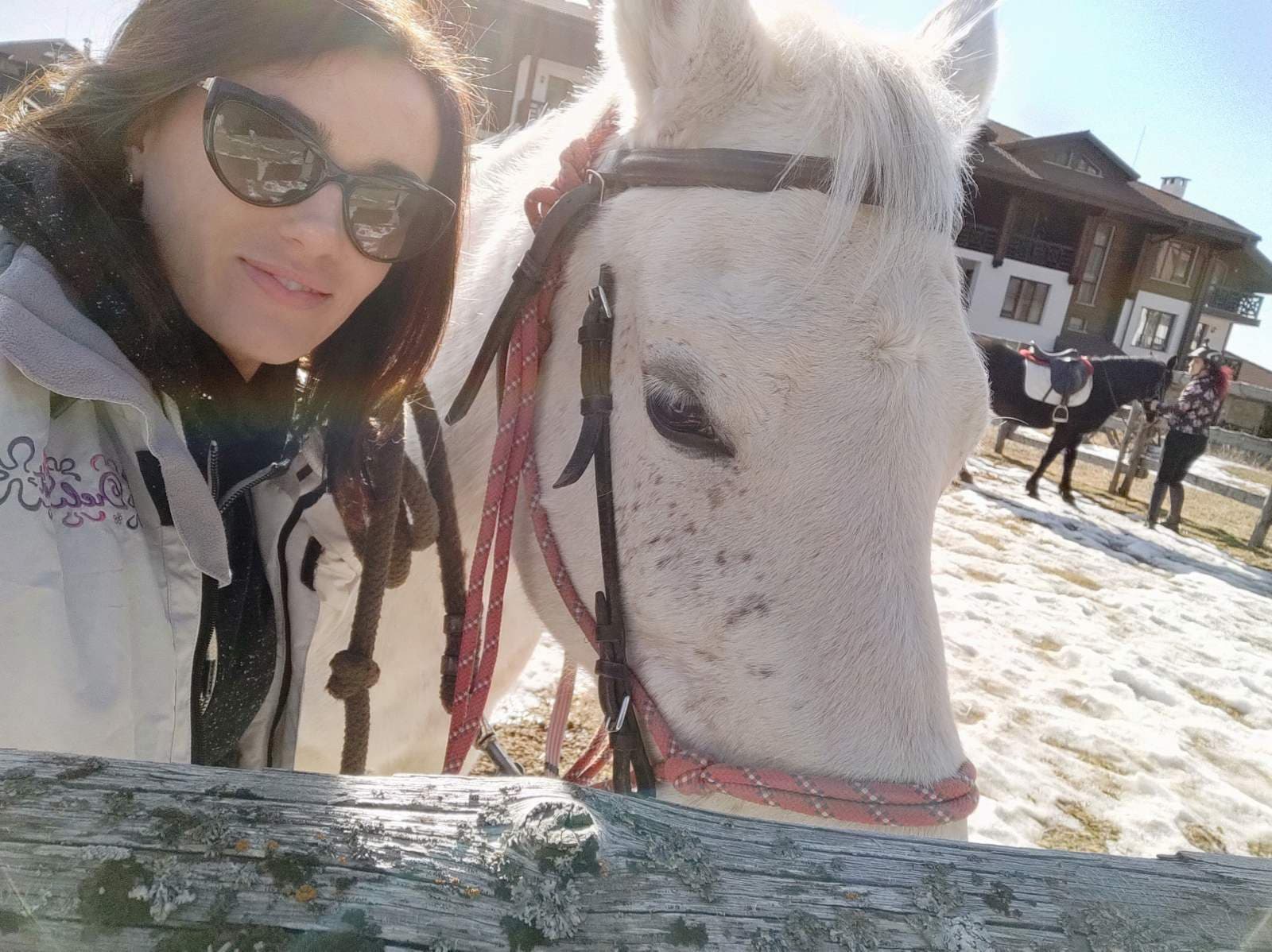 Horse Riding Lessons at the Heart of the Rose Valley