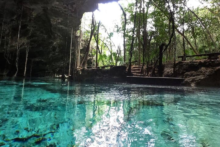 Five Cenotes Jungle Experience in the Riviera Maya