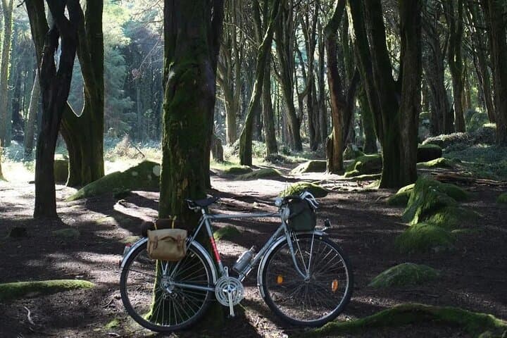 Monsanto Vintage Bike Tour