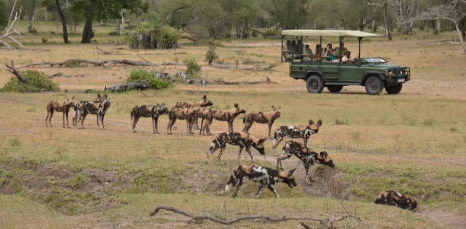 Day Trip Safari from Dar es Salaam to Nyerere National Park