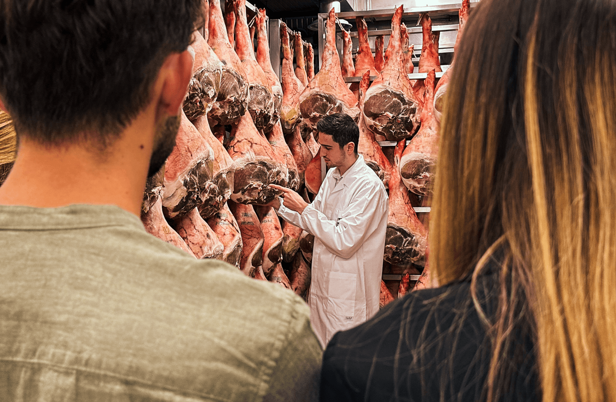 Prosciutto Ham Factory Visit & Lunch Tasting near Udine