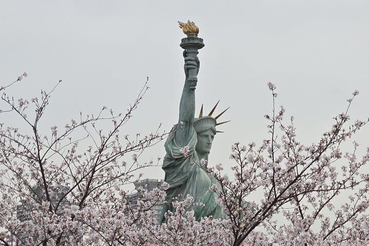 Customizable Private Tokyo Trip with an English Speaking Driver