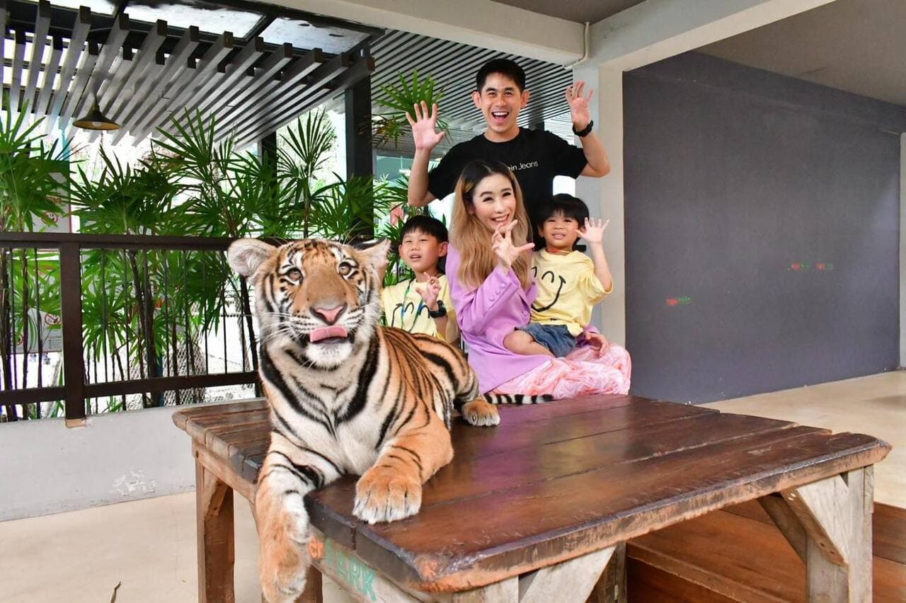 Pattaya Tiger Park Admission Ticket with a Walk Around the Park - TH