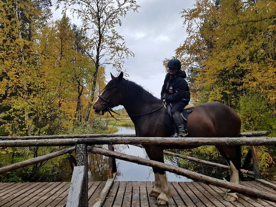 Siberian Jay's Way – Horseback trail ride