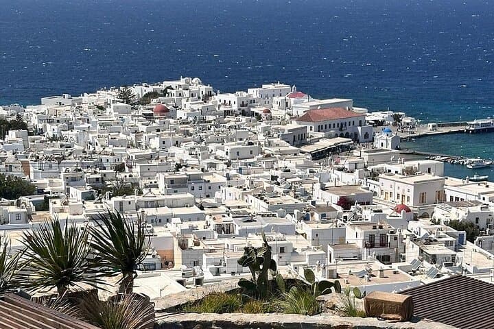 Half Day Tour Mykonos Experience