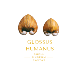 Glossus Humanus