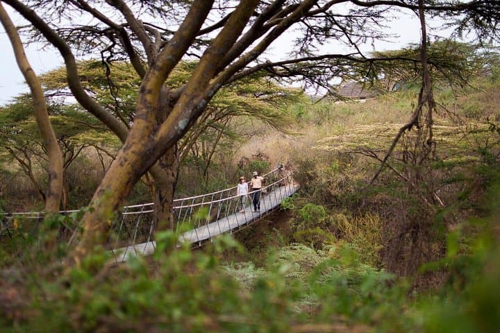 3-Day Nairobi National Park Safari