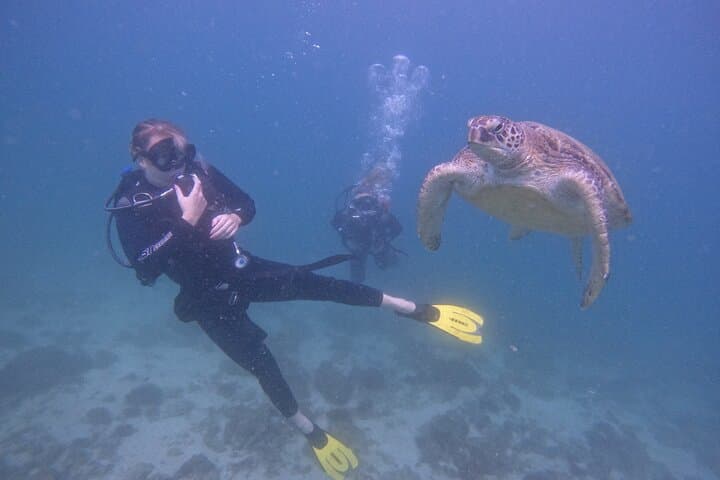 From Dubai: Dive and Stay 5-Dives Trip with BBQ, Transfers