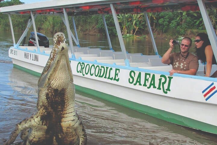 Crocodile Safari Expedition & Carara National Park. Private Tour