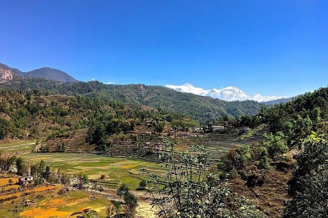 8-Day Sirubari Village Homestay Hiking Tour 