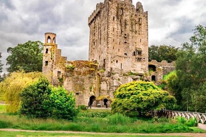 Blarney Castle and The Rock of Cashel private chauffeur tour 6 pax