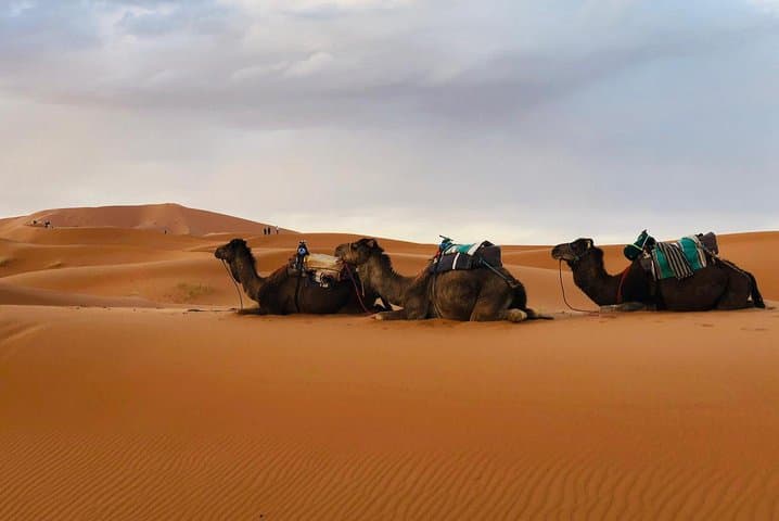 Fes to Merzouga Desert Trip – 2 Days, Camel Ride & Camp