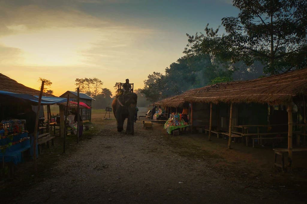 11 Days- Nepal Mountain Biking & Jungle Safari at Chitwan National Park