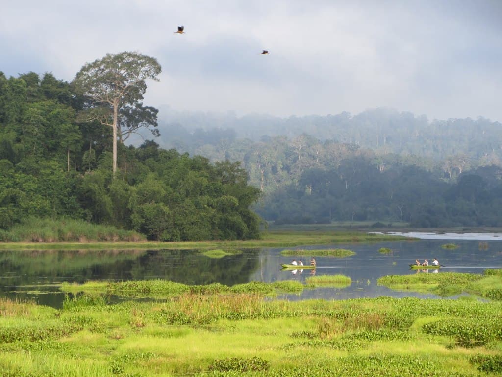 2 Days Tour in Cat Tien National Park