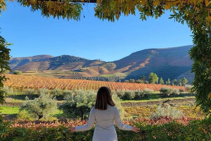 Customizable Douro Valley Tour