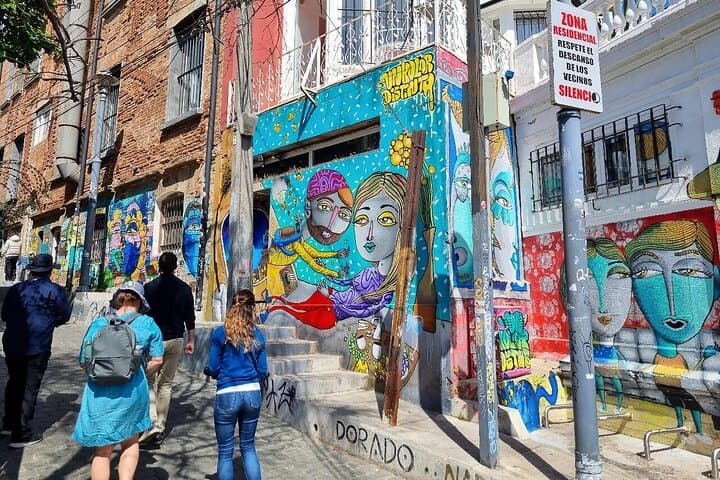 Valparaiso Private Tour with Wine Tasting from Santiago