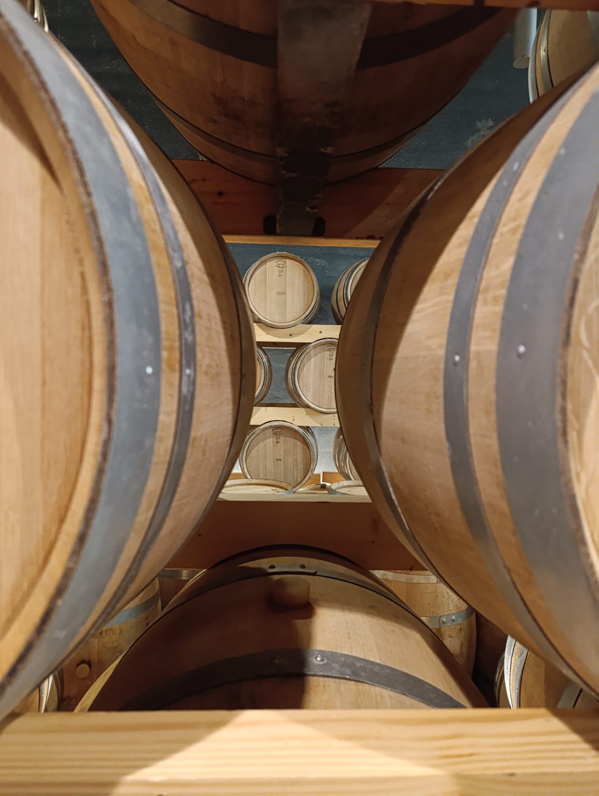 Ribera del Duero Wine & Culture