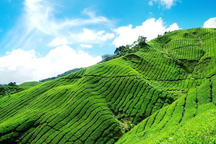 6 Days Sri Lanka Private Heritage Tour