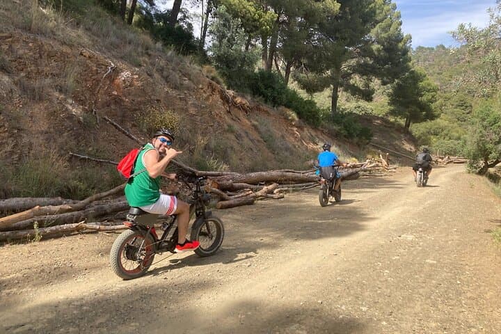 10 Hour E-FAT Bike Rental to Discover Málaga at Your Pace