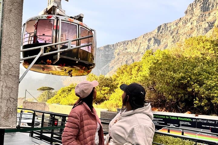  Private Cape Point Table Mountain and Penguins Tour 