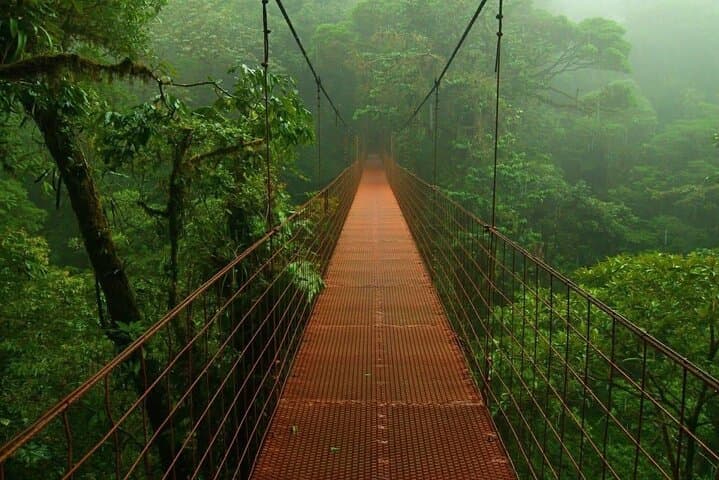 Skywalk & Beans with a sweet taste, Monteverde Experience