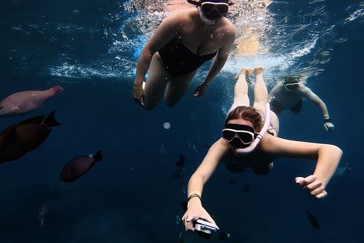 Nusa Penida Snorkeling: Manta Point & Island Day Trip 
