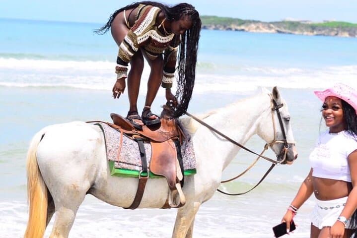 Punta Cana Horseback Riding Tour: Beaches, Fields and Forests +