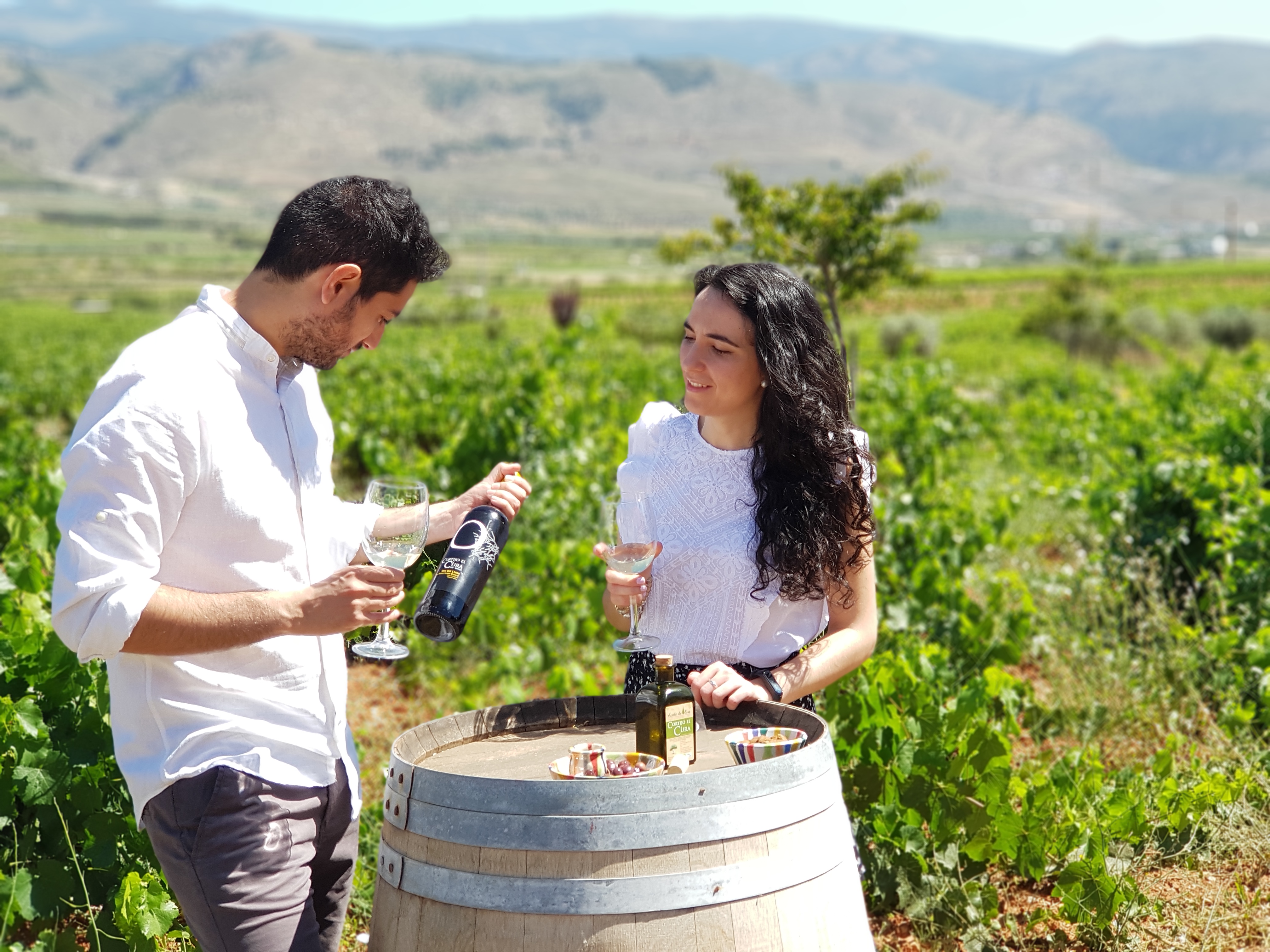 Wine tour and tasting in Almería