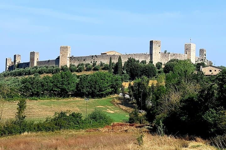 Private Tour: "FRANCIGENA WAY" in Chianti with Lunch & 2 Wine-tastings