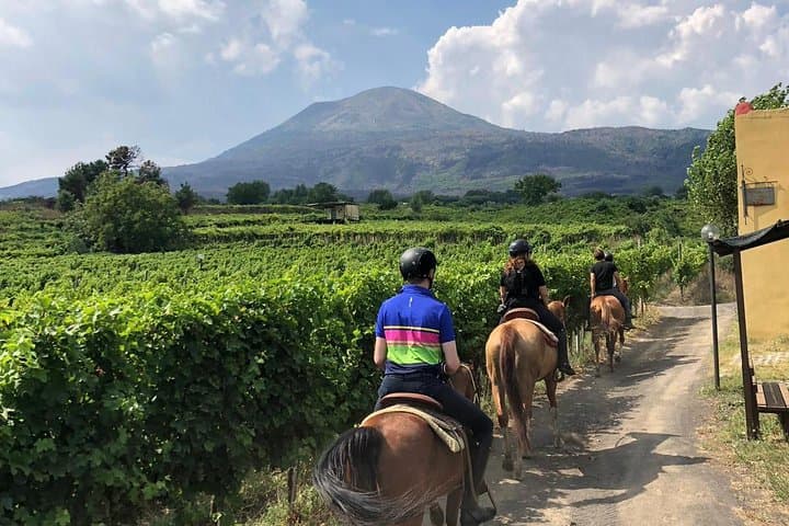 Scenic Horseback Ride, Wine Tasting & Lunch on Mt. Vesuvius