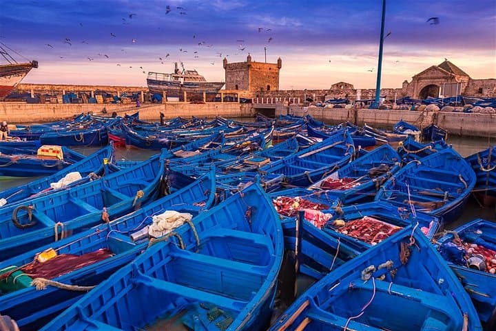 Full Day Trip To Essaouira From Marrakech