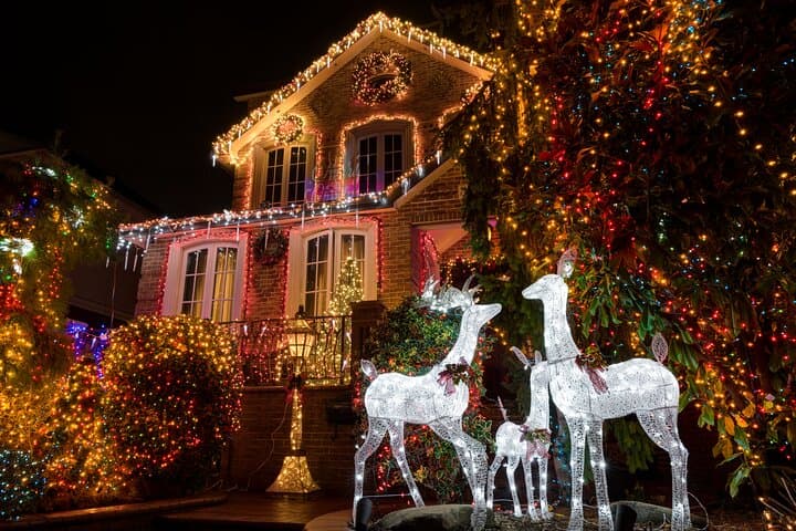 Tour New York City Contrasts and Dyker Heights Lights