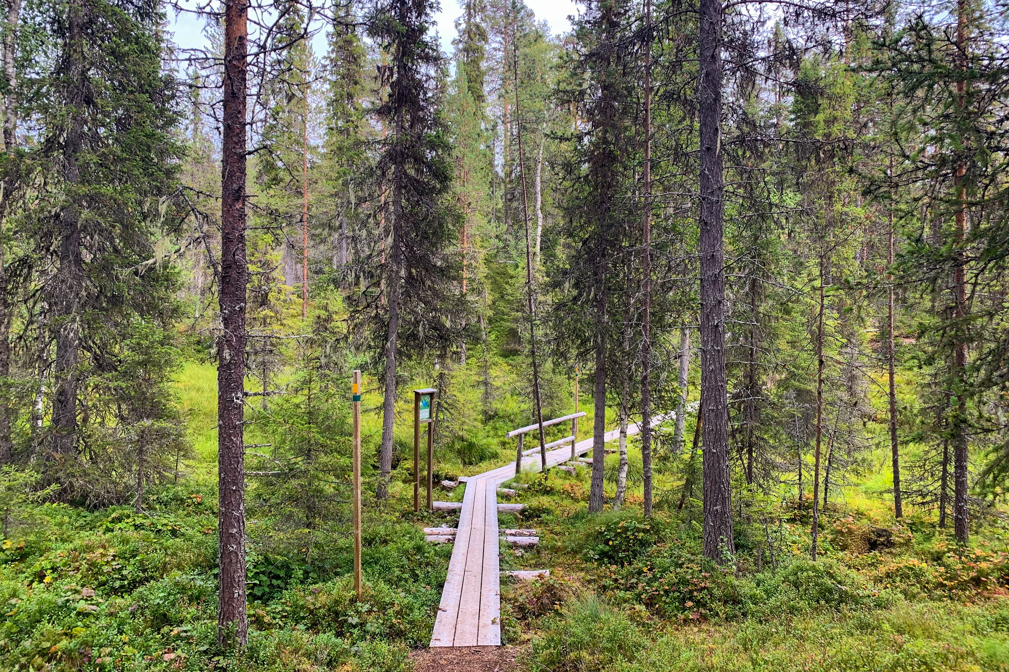 Korouoma Canyon Wilderness Hike