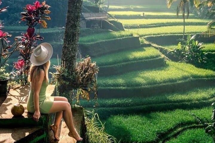 Full Day Private Tour in Ubud Jungle Swing and Waterfalls