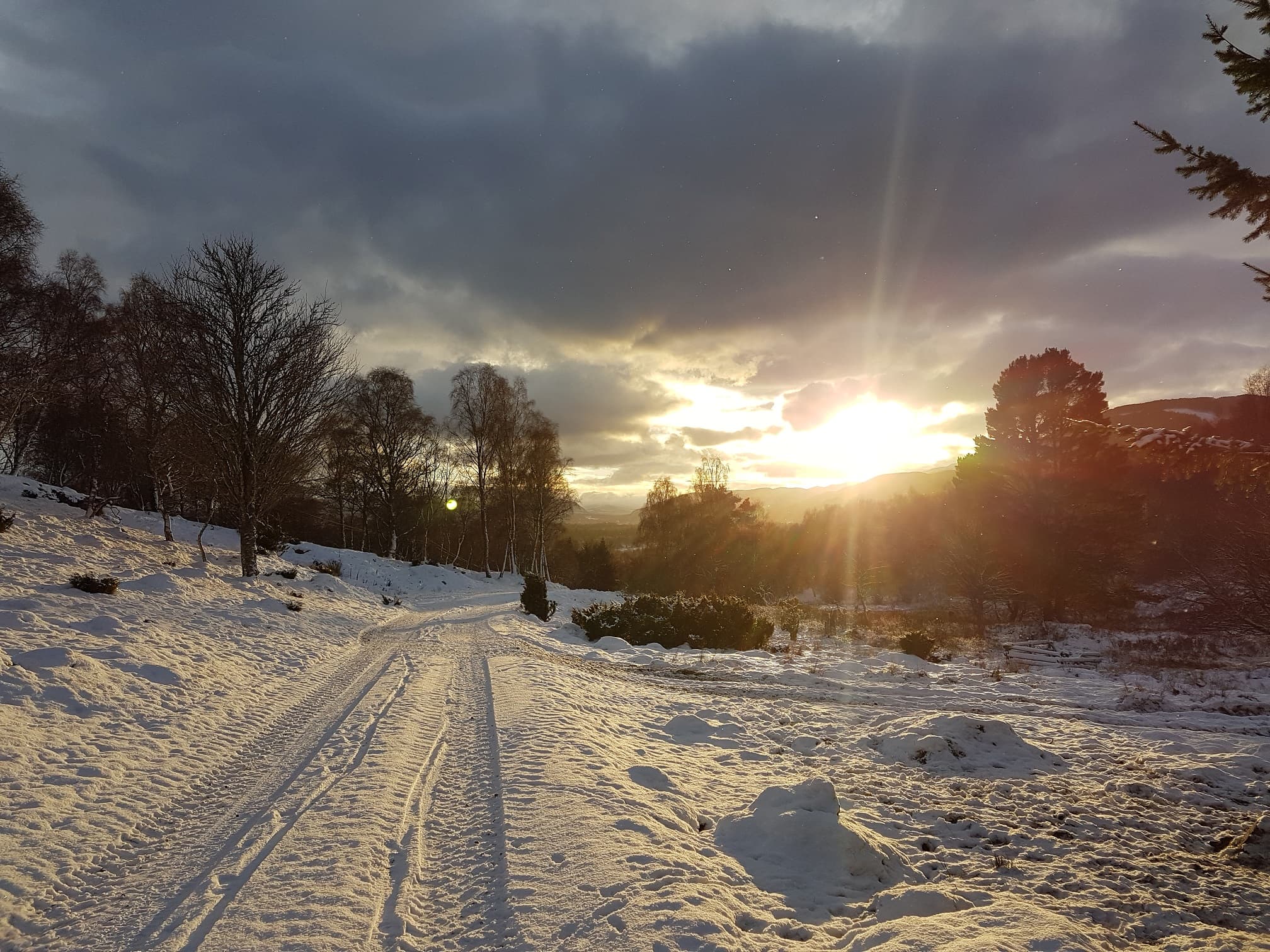 8 Days / 7 nights - New Year Cairngorms Winter Walking Adventure