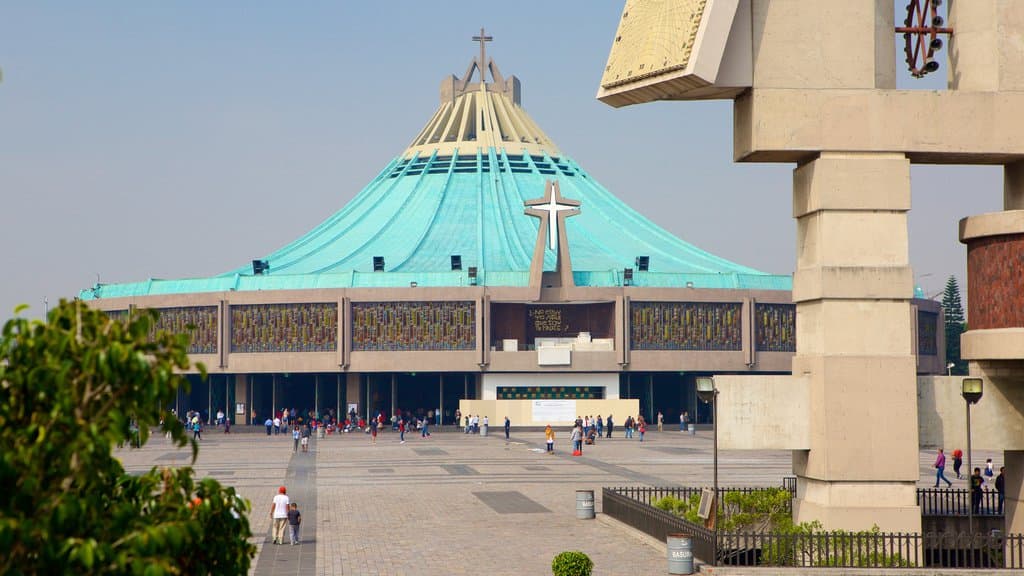 Basilica of our Lady of Guadalupe: Private Tour in Mexico City TM