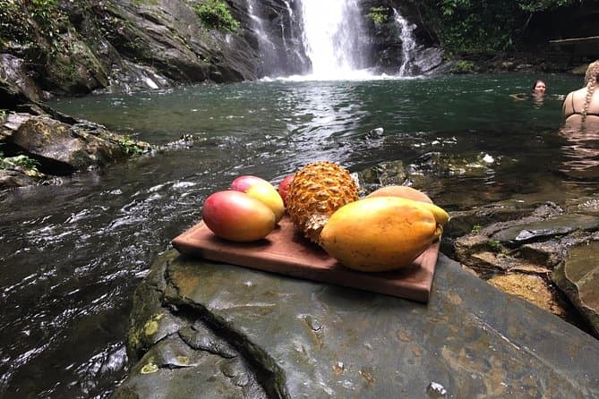 T2C-Into the rainforest: Discover a Belize waterfall