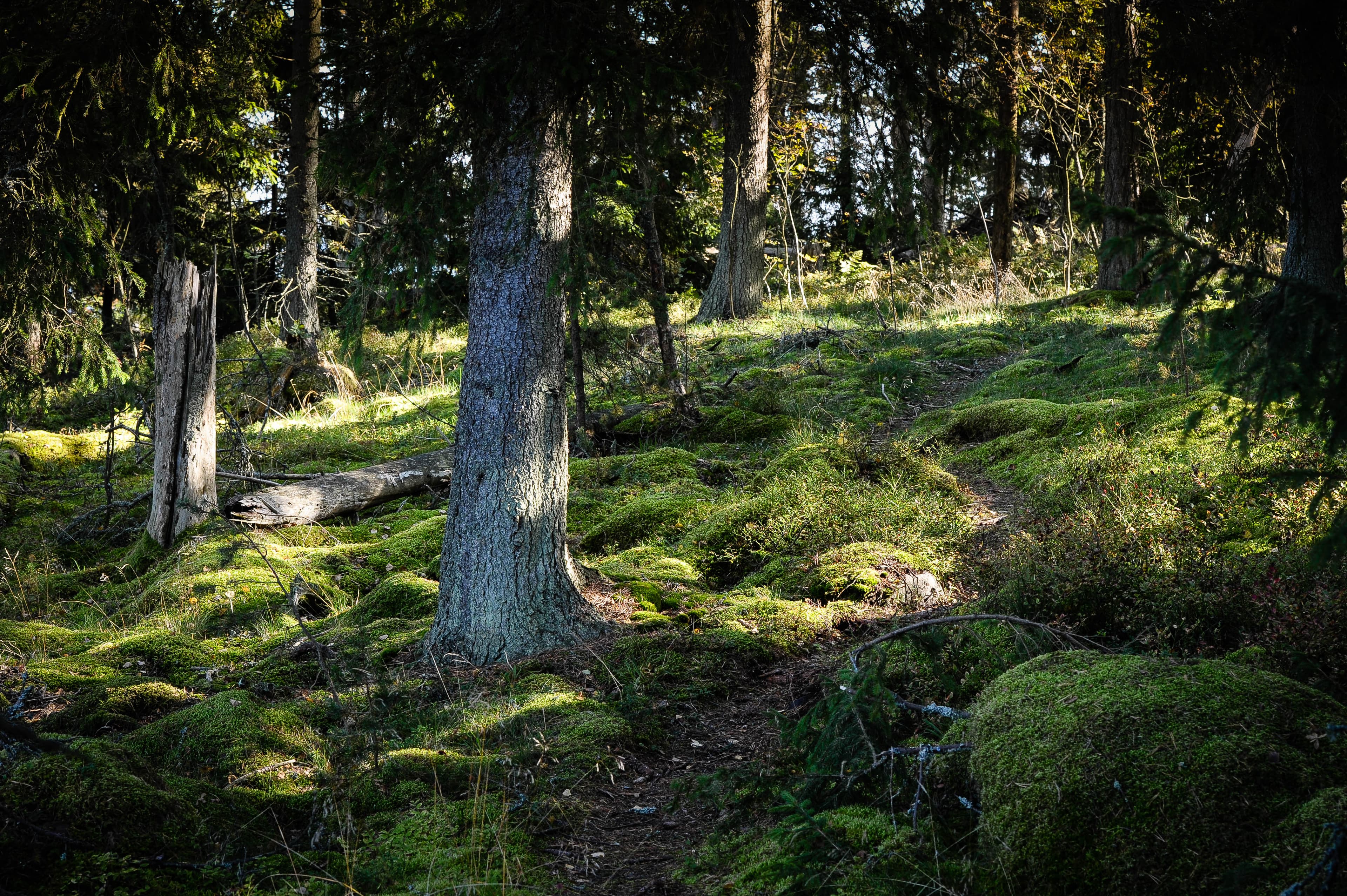 Redrib Nature Reserve Experience